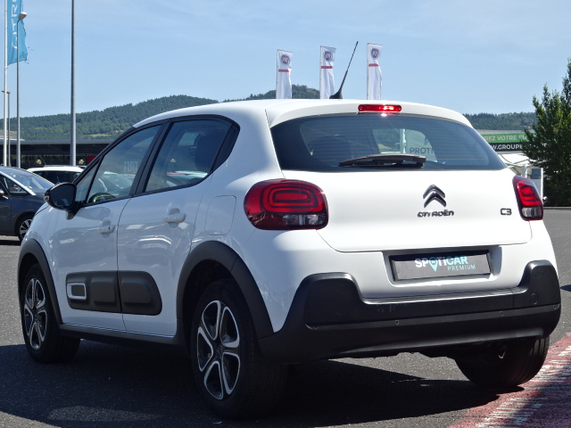 Citroën C3 Société (3)