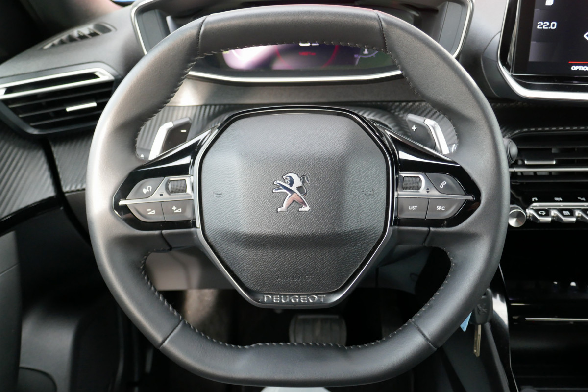 Peugeot 2008 (2)