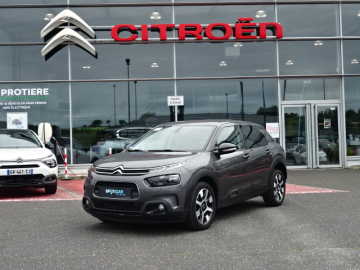 Citroën C4 Cactus PureTech 110 S&S EAT6 Shine